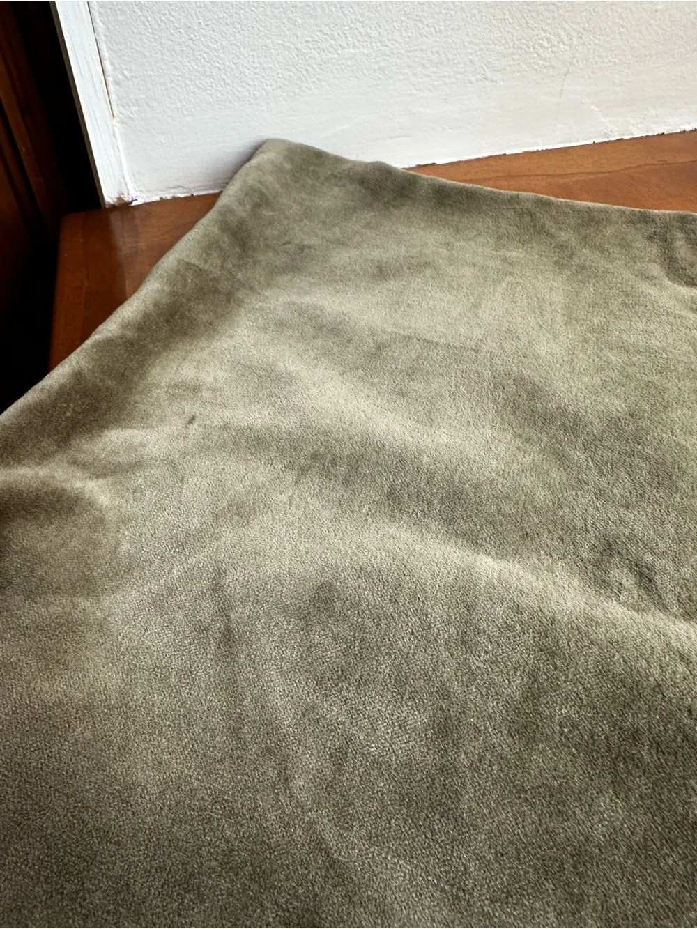 Threshold Plush Velvet Pillow Cover in Olive Green
